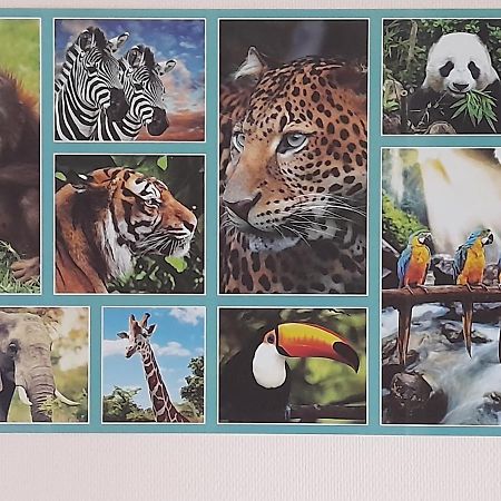 Ferienwohnung Animalier Joigny Exterior foto
