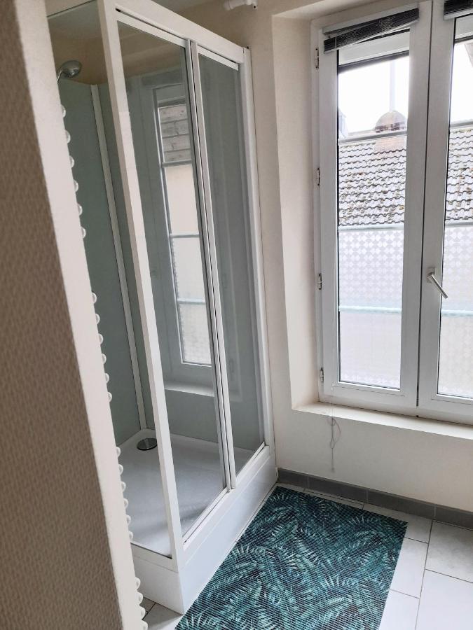 Ferienwohnung Animalier Joigny Exterior foto