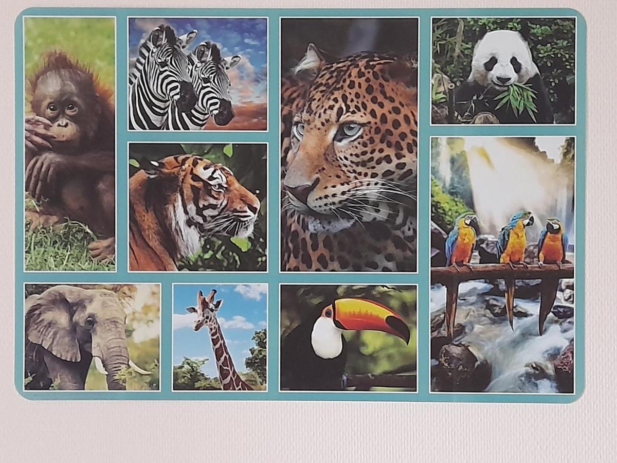 Ferienwohnung Animalier Joigny Exterior foto